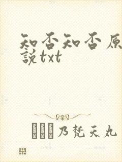 知否知否原著小说txt