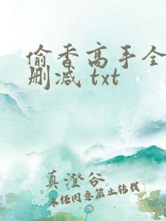 偷香高手全文无删减 txt