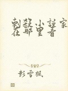 刺杀小说家可以在哪里看