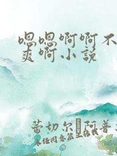 嗯嗯啊啊不要好爽啊小说