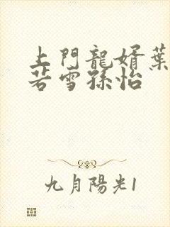 上门龙婿叶辰夏若雪孙怡