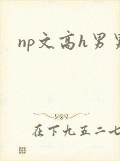 np文高h男男