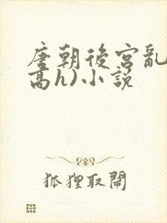 唐朝后宫乱淫(高h)小说