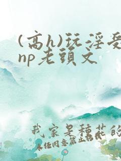 (高h)玩淫受np老头文