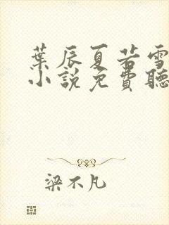 叶辰夏若雪有声小说免费听