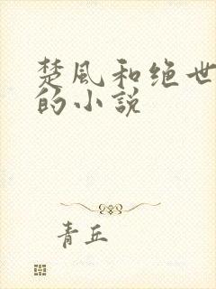 楚风和绝世女帝的小说