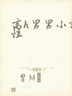 高h男男小说双性