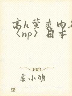 高h荤爽肉欲文〈np〉日本
