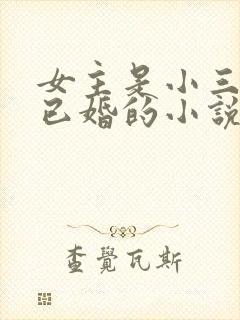 女主是小三男主已婚的小说推荐