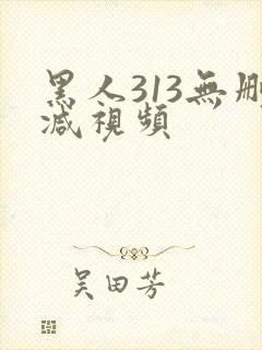 黑人313无删减视频