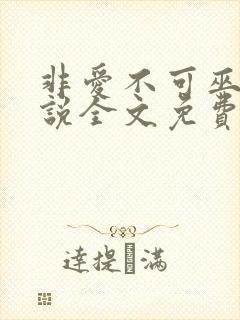 非爱不可巫哲小说全文免费阅读