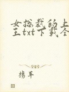 女总裁的上门兵王txt下载全本