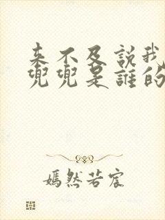 来不及说我爱你兜兜是谁的孩子