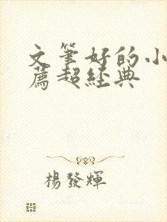 文笔好的小说推荐超经典