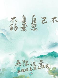 不负自己不负卿的意思