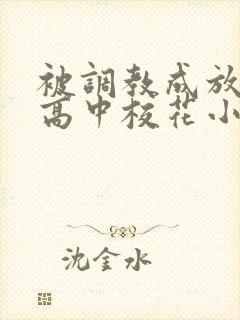 被调教成放荡的高中校花小说