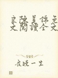 良陈美锦免费全文阅读全文