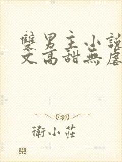 双男主小说甜宠文高甜无虐