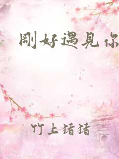 刚好遇见你高进