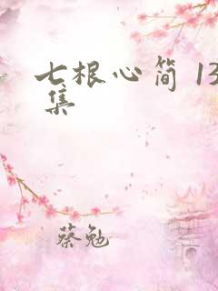 七根心简 13 集