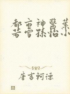 都市神医叶辰夏若雪孙怡小说