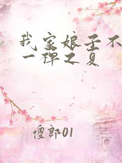 我家娘子不对劲一禅之夏