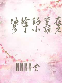 他给的实在是太多了小说免费阅读