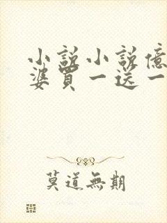 小说小说亿万老婆买一送一