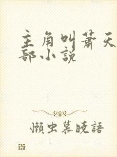 主角叫萧天的全部小说