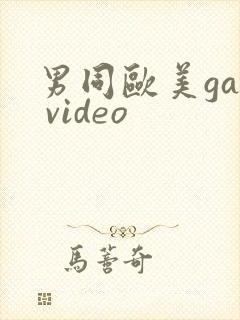 男同欧美gay video