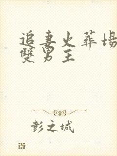 追妻火葬场虐文双男主