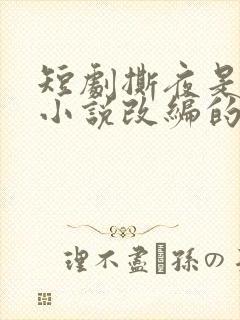 短剧撕夜是哪个小说改编的