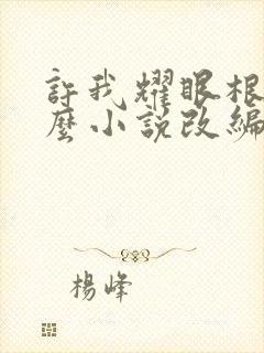 许我耀眼根据什么小说改编