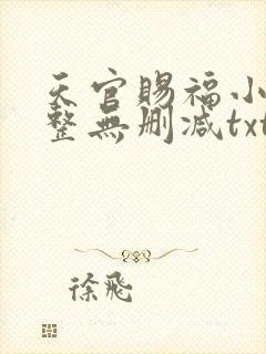 天官赐福小说完整无删减txt