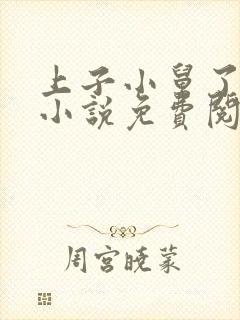 上子小舅了老婆小说免费阅读