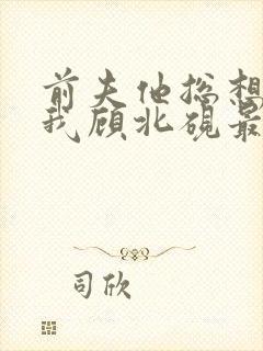 前夫他总想独占我顾北砚最新章节在线阅读