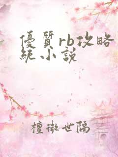优质rb攻略系统小说
