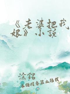 《老婆把我变伪娘》小说