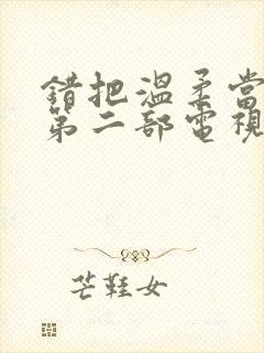 错把温柔当情深第二部电视剧