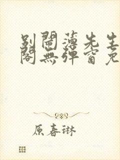 别闹薄先生笔趣阁无弹窗免费