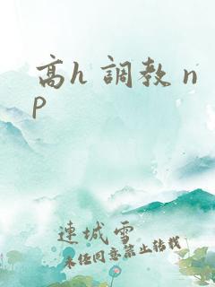高h 调教 np