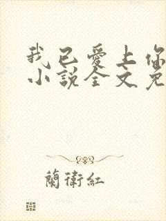 我已爱上你陈超小说全文免费阅读