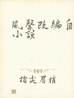 风声改编自哪部小说