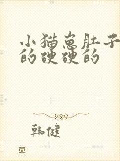 小猫崽肚子鼓鼓的硬硬的