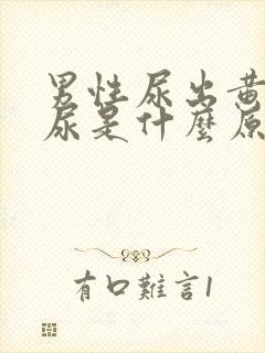 男性尿出黄色的尿是什么原因