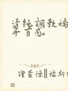 清纯调教娇妻五年有感
