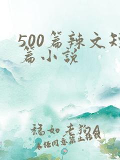 500篇辣文短篇小说