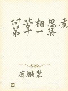 何苦相思煮余年第十一集