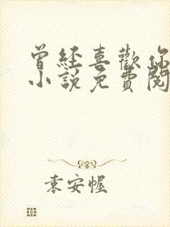 曾经喜欢你的我小说免费阅读