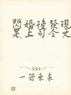 闪婚后发现老公是上司全文免费阅读小说